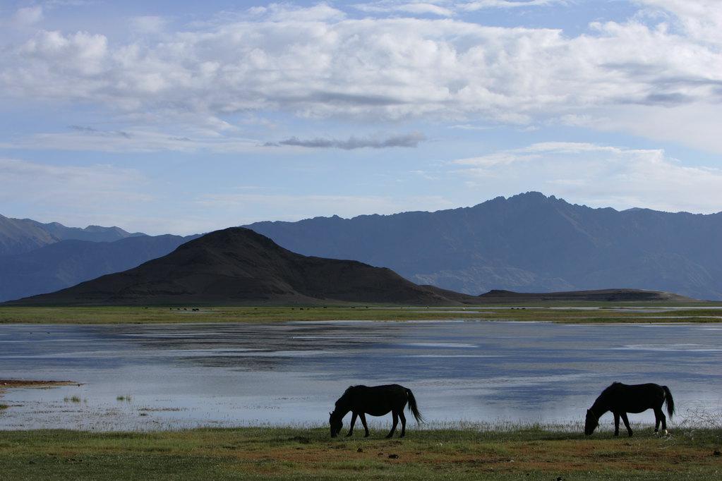 C02拉薩、羊湖、日托寺、納木措5天4晚
